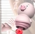 ⭐️Puerquito toy en internet
