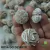 Selenita Rosa do Deserto - conexão com a Terra / Equilibrio - Pedra Natural - 12 a 25 grs - loja online