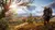 Assassin's Creed Valhalla - XBOX ONE / SERIES X na internet