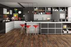 Canyon Black Oak