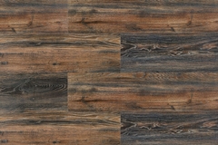 Canyon Black Oak na internet