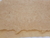 Papel artesanal 100% cana-de-açúcar na internet