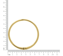 Bracelete na internet