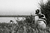 Pinguino de Magallanes | Horizontal