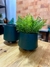 VASOS DECORATIVOS VERDE FOSCO MAZZOTI - comprar online