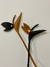Imagem do FLOR DE ESTRILICIA G - VANESSA LAZZARI