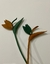 FLOR DE ESTRILICIA G - VANESSA LAZZARI - loja online