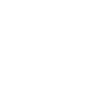BLIM BLOM