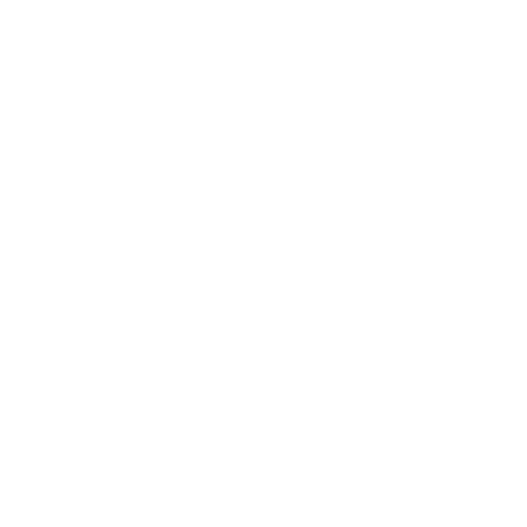 BLIM BLOM