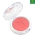 Blush Camaleão Tropicália Playboy - comprar online