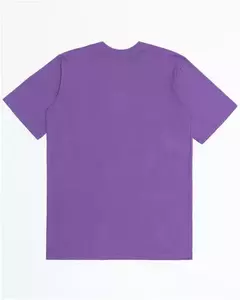 CAMISETA STRANGER SOUTH AMERICA MC - comprar online