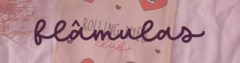 Banner da categoria Flâmulas Bordadas
