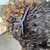 Presilha Minimalista Moderna p/ cabelo - Resistente - loja online