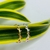 Anel Coral Colorido Cravejado Zircônias Ouro18k Prata925 Garantia Vitalícia - Cy Semijóias