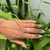 Anel Sereia Feminino Zircônias Cravejadas Ouro18k Prata925 Garantia Vitalícia - loja online