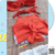 Conjunto Moana Costa do Mar - Quedo Mãe Baby