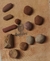 GeoGiz-Giz Natural-GeoColors