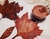 Tinta Mineral Natural   GeoTinta