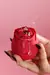 Kit prazer Rosa sugadora + excitante clitoriano Deborah Secco na internet