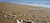 Banner rotativo 12