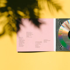 Amar y Perder _ Mr. Bleat _ CD en internet