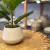 Planta artificial - comprar online