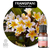 Jasmim manga (Frangipani) - Absoluto (Plumeria alba) - Cosméticos Naturais, sabonetes, difusores de ambientes, perfumes botânicos | CHOICE - Beleza Consciente