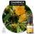 Champaca Amarela - Absoluto (Magnolia champaca) - Cosméticos Naturais, sabonetes, difusores de ambientes, perfumes botânicos | CHOICE - Beleza Consciente