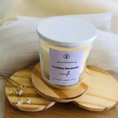 Vela Aromática Vanilla Milk 180G - loja online