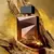 Perfume Deo Palo Santo Natura 100ml na internet