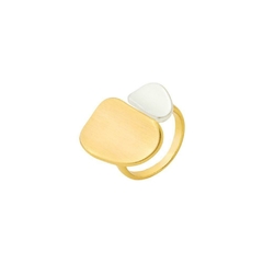 Anel Go Flat Duo, banhado em ouro