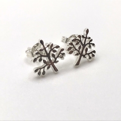 Aretes Baum SALQ10 - comprar en línea