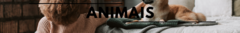 Banner da categoria Animais