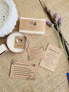 Kit terra Lavanda - comprar online