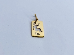 Pingente em Ouro 18k