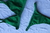 Calcinha Fixo Verde - comprar online