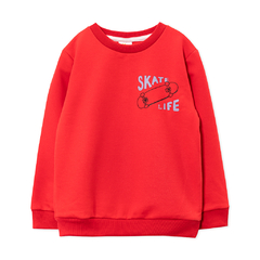 Buzo frisa skate - comprar online