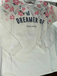 Buzo "Dreamer of dreams" en internet