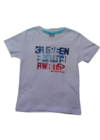 Camiseta Infantil Menino Hering Kids