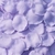 Lilac Spring en internet