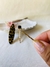 Hair Clips Gold
