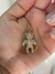 Imagem do Colar Ursinho Teddy