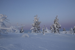 Banner de la categoría Serie Finlandia 2020