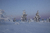 Chaleco Finlandia 2020 en internet