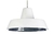 PENDENTE POLS POTTEN IRONLIKE