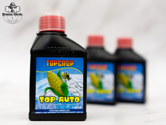 Top Crop top Auto 250cc - comprar online