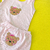Blusa + shortinho bordado na internet