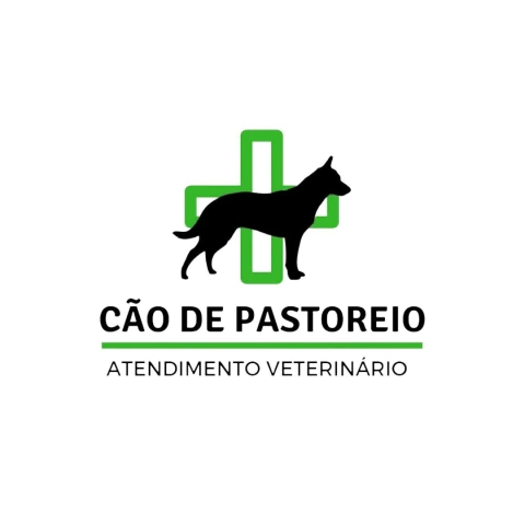 Consultório Veterinário Cão de Pastoreio