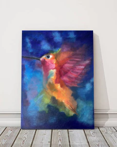 Colibri en internet