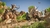Assassin's Creed Origins Ps4 e Ps5 - Midia Digital na internet